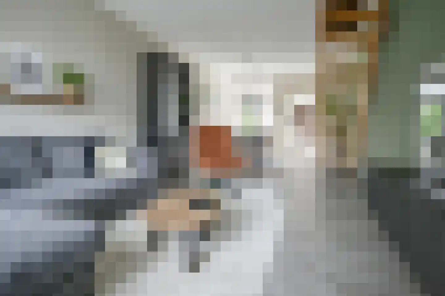 Julianalaan 102 Bergschenhoek thumbnail 10