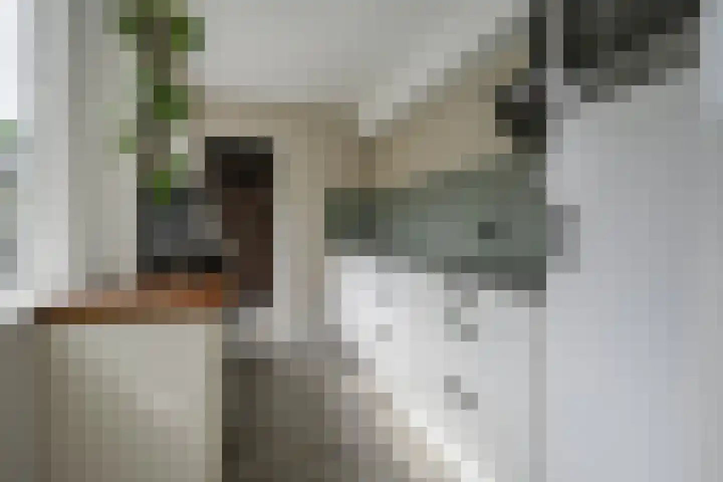 Julianalaan 102 Bergschenhoek thumbnail 13