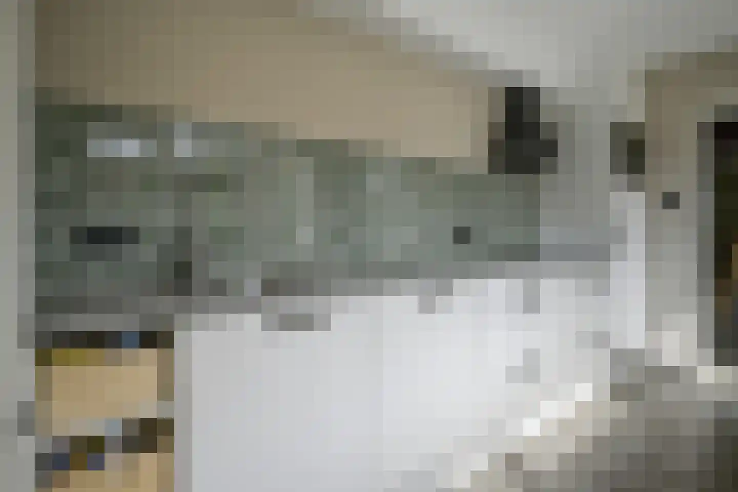 Julianalaan 102 Bergschenhoek thumbnail 15