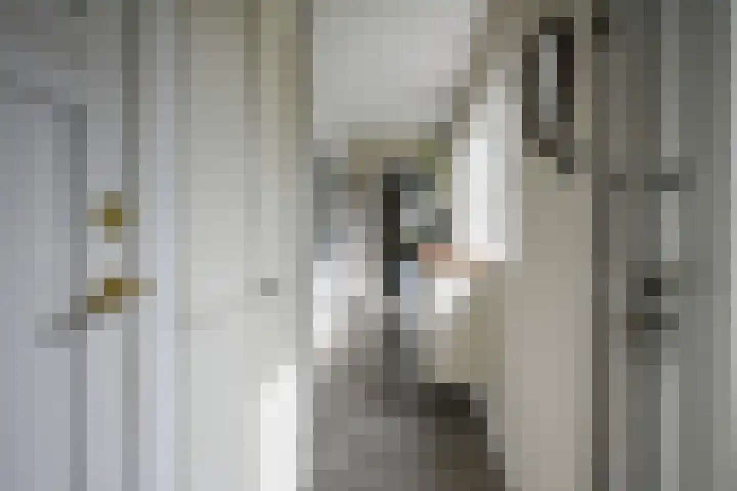 Julianalaan 102 Bergschenhoek thumbnail 17