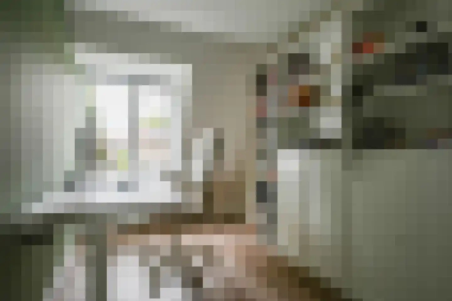 Julianalaan 102 Bergschenhoek thumbnail 21