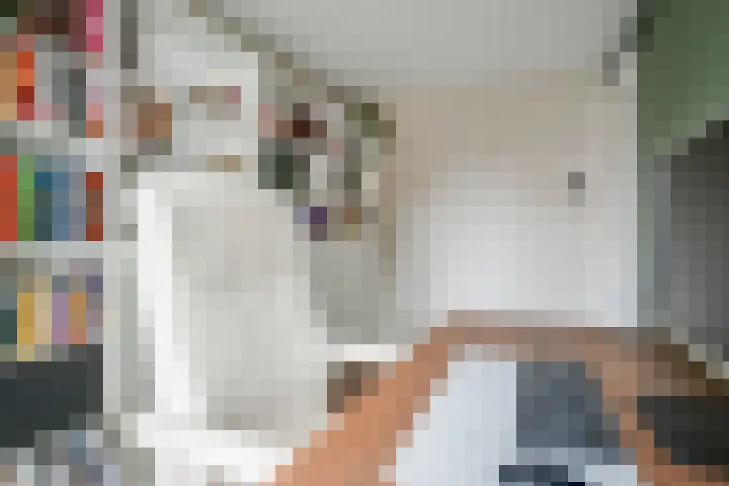 Julianalaan 102 Bergschenhoek thumbnail 22