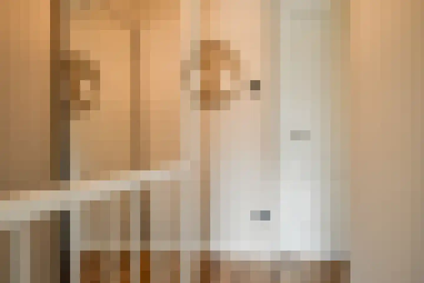 Julianalaan 102 Bergschenhoek thumbnail 24