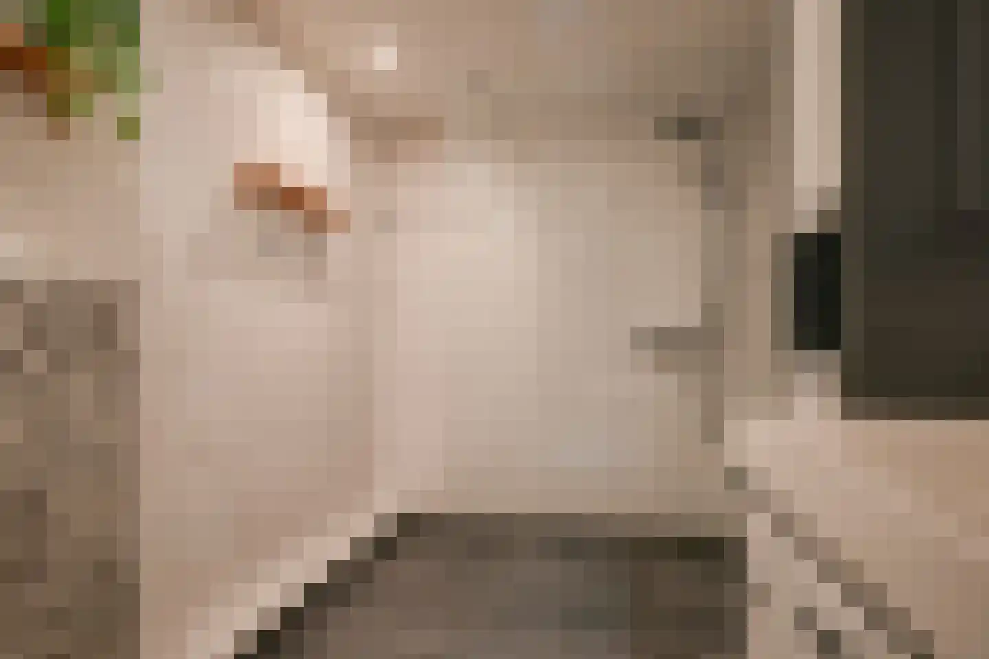 Julianalaan 102 Bergschenhoek thumbnail 25