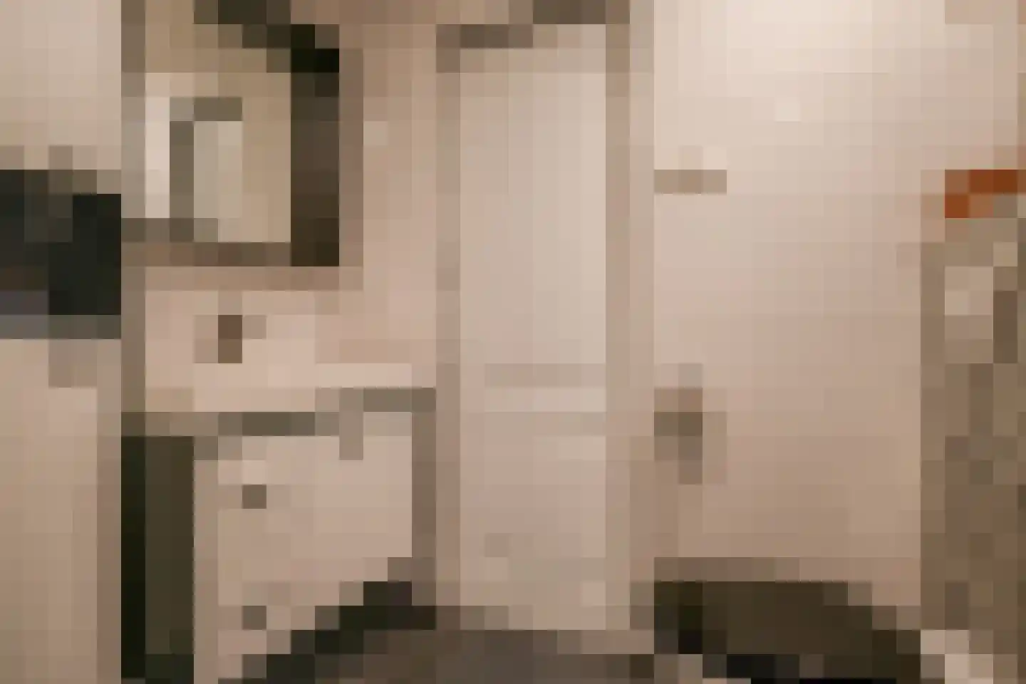 Julianalaan 102 Bergschenhoek thumbnail 26