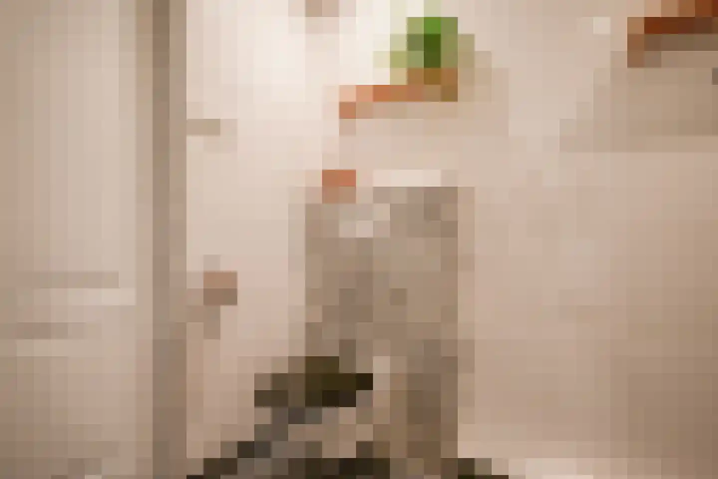 Julianalaan 102 Bergschenhoek thumbnail 27