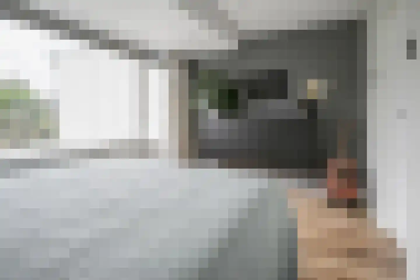 Julianalaan 102 Bergschenhoek thumbnail 29