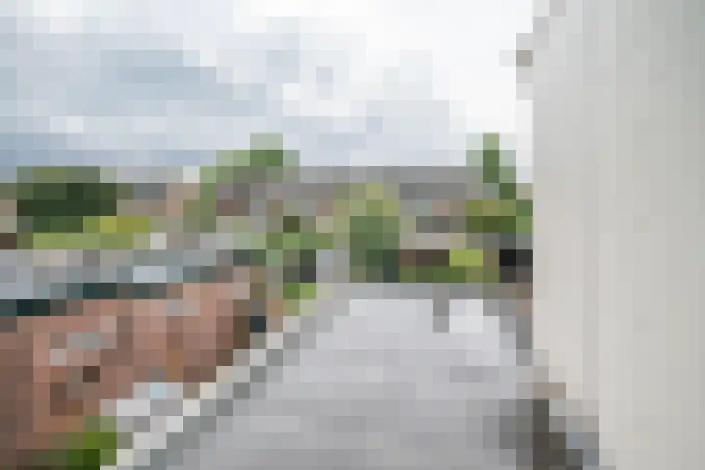 Julianalaan 102 Bergschenhoek thumbnail 31