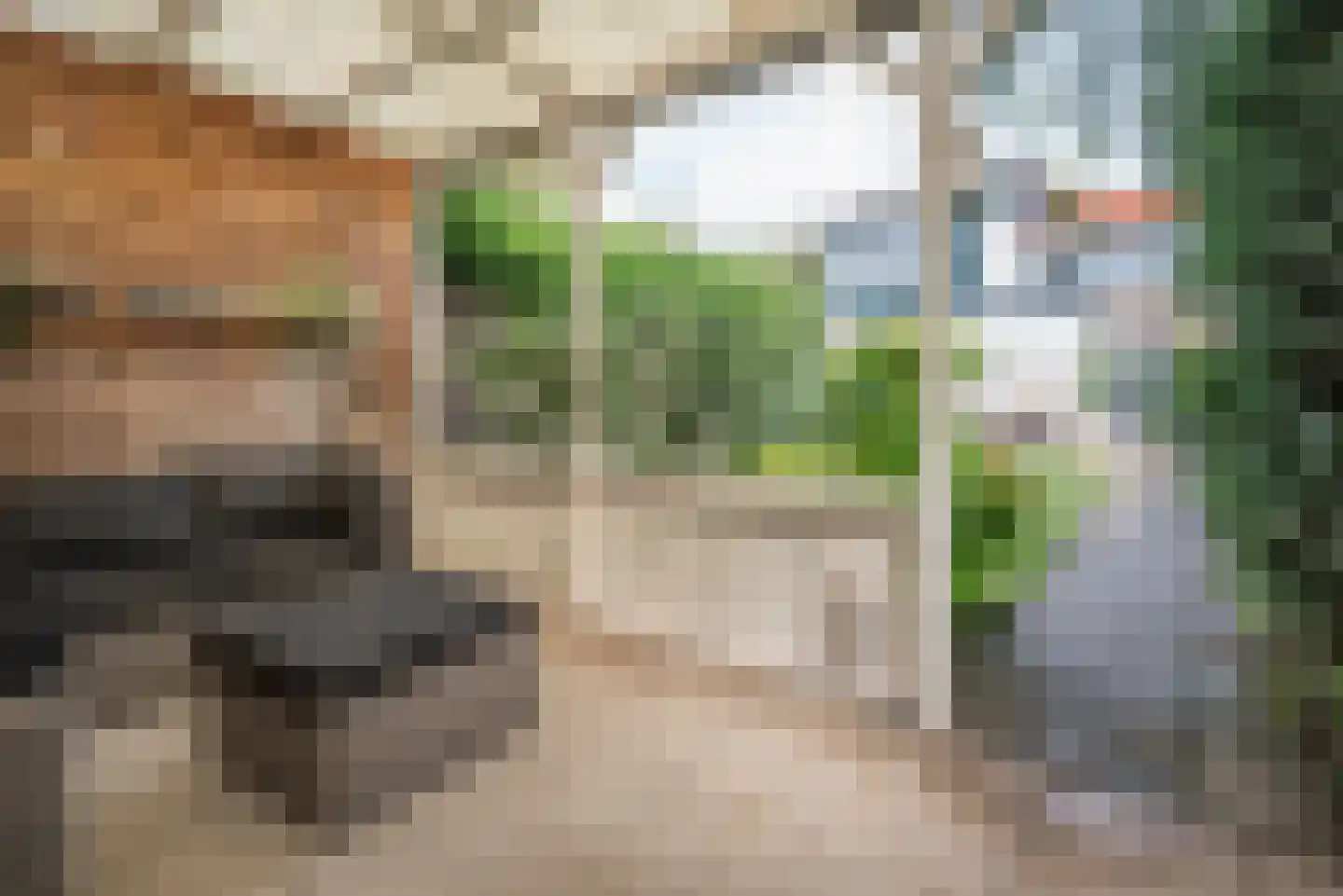 Julianalaan 102 Bergschenhoek thumbnail 38