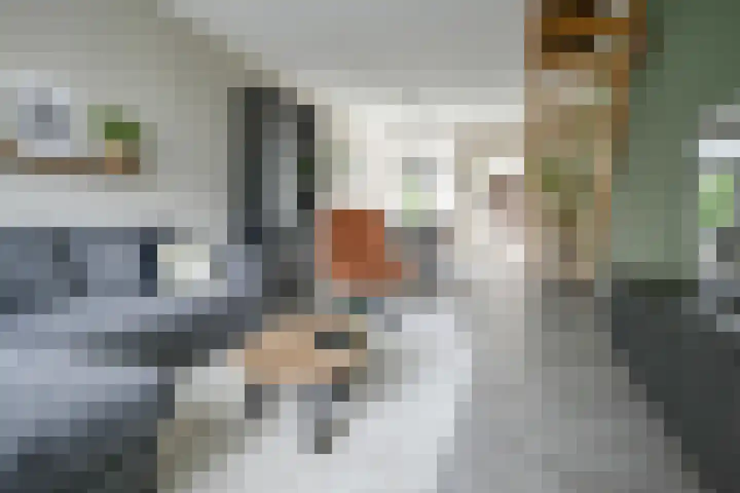 Julianalaan 102 Bergschenhoek thumbnail 4