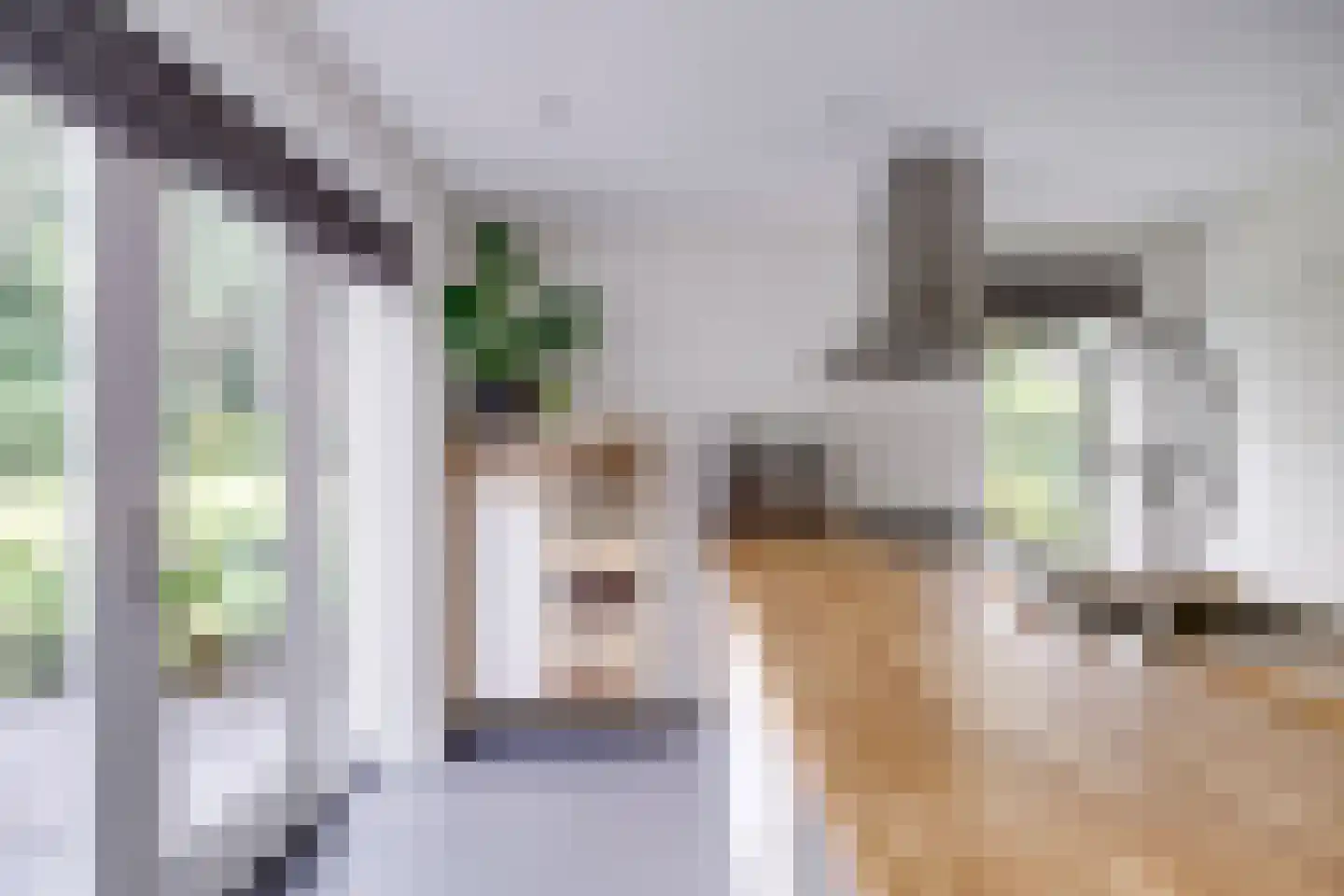 Julianalaan 103 Bilthoven thumbnail 13