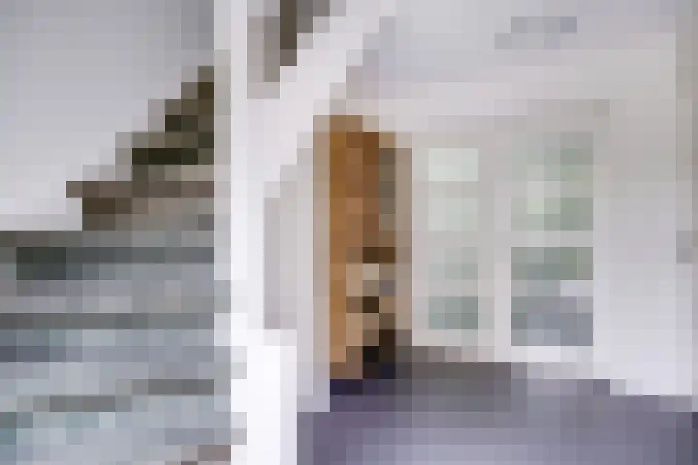 Julianalaan 103 Bilthoven thumbnail 18