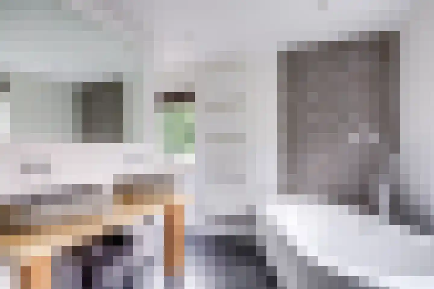Julianalaan 103 Bilthoven thumbnail 29
