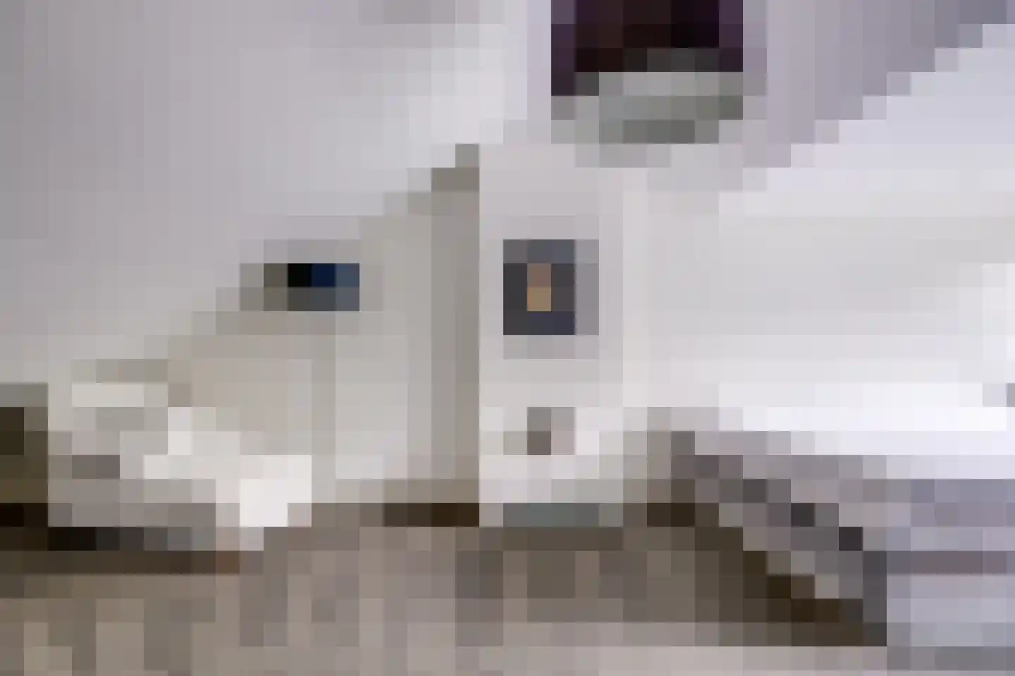 Julianalaan 103 Bilthoven thumbnail 31