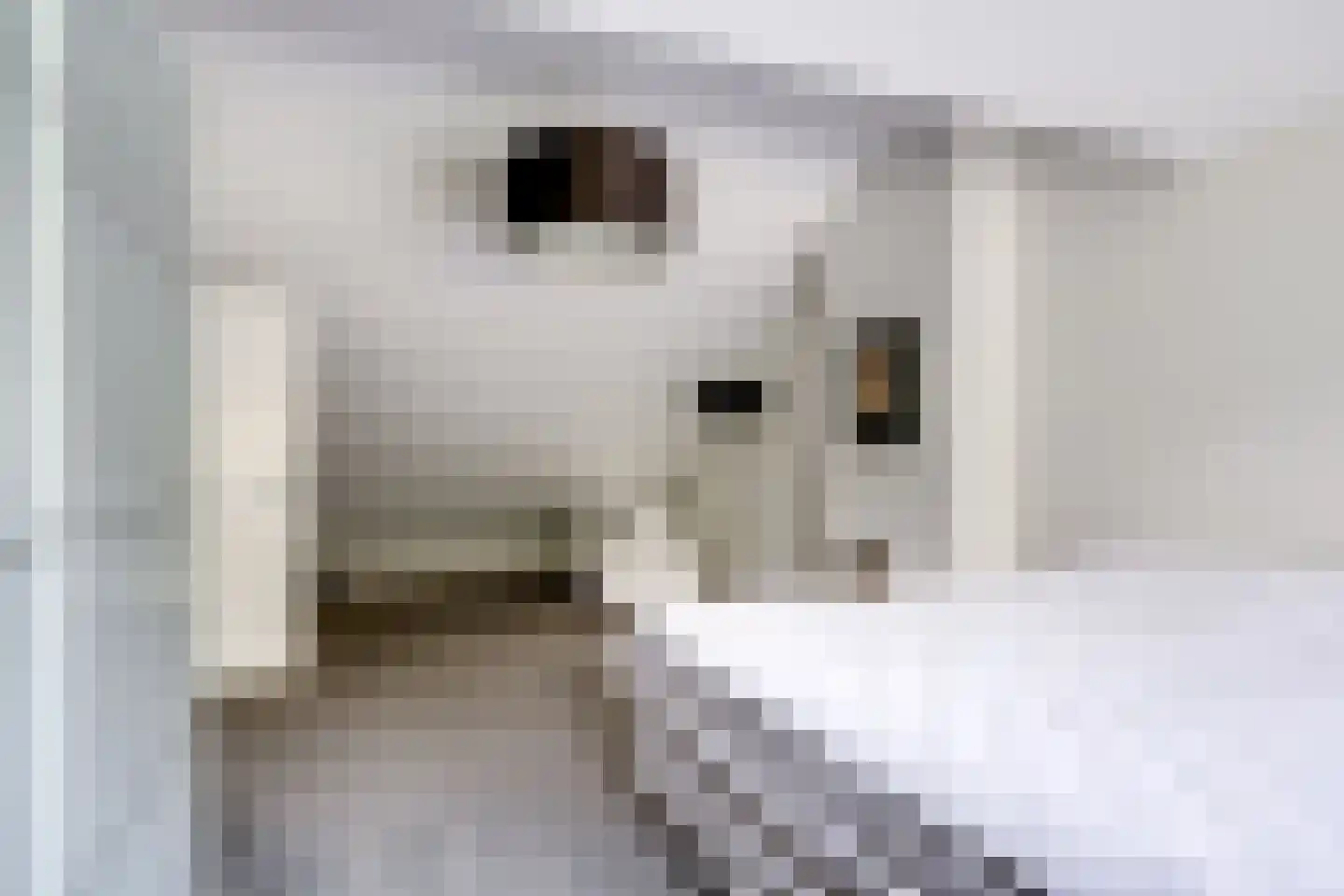 Julianalaan 103 Bilthoven thumbnail 33