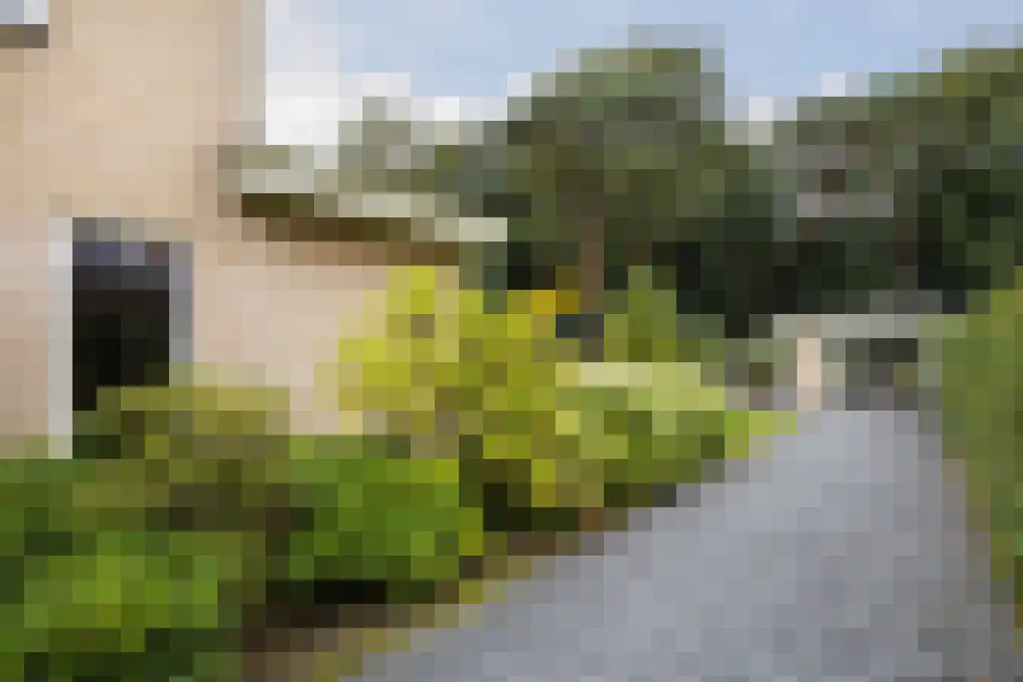 Julianalaan 103 Bilthoven thumbnail 35