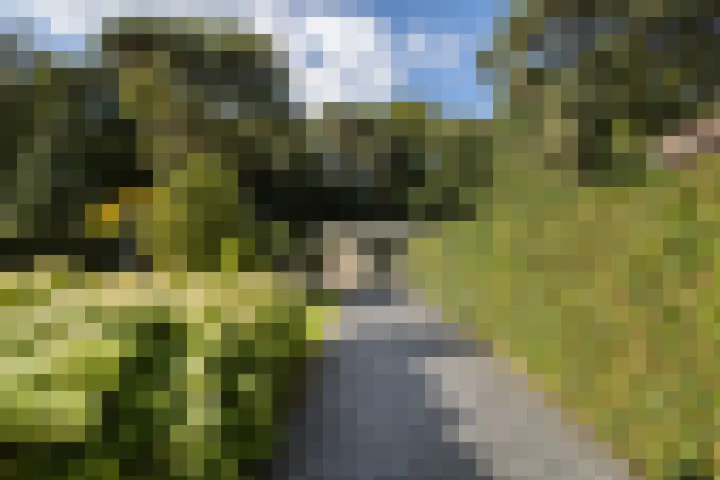 Julianalaan 103 Bilthoven thumbnail 36