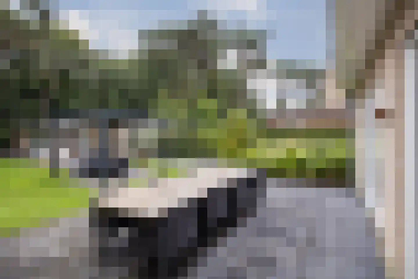 Julianalaan 103 Bilthoven thumbnail 42