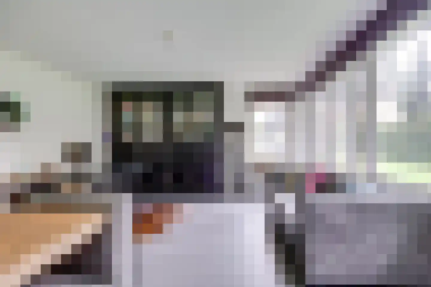 Julianalaan 103 Bilthoven thumbnail 43