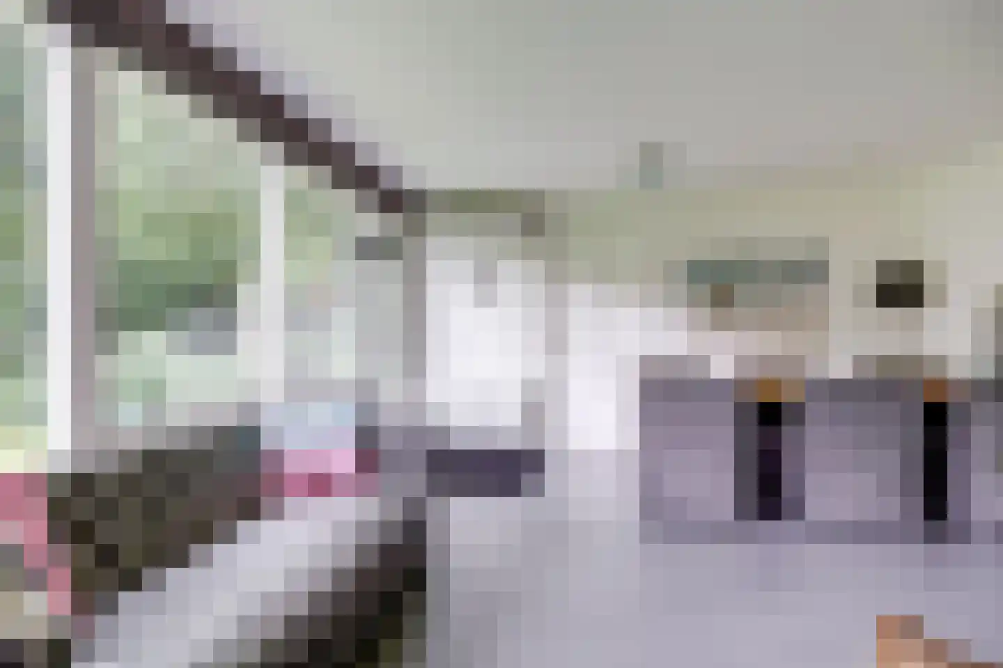 Julianalaan 103 Bilthoven thumbnail 45