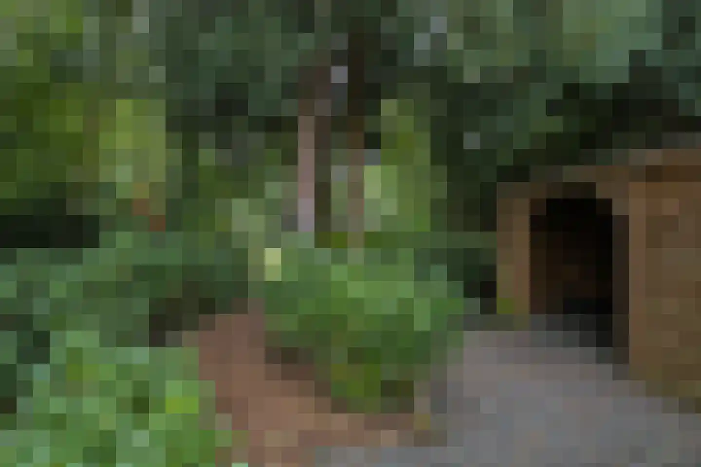 Julianalaan 103 Bilthoven thumbnail 48