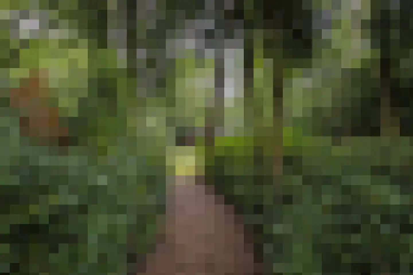 Julianalaan 103 Bilthoven thumbnail 49
