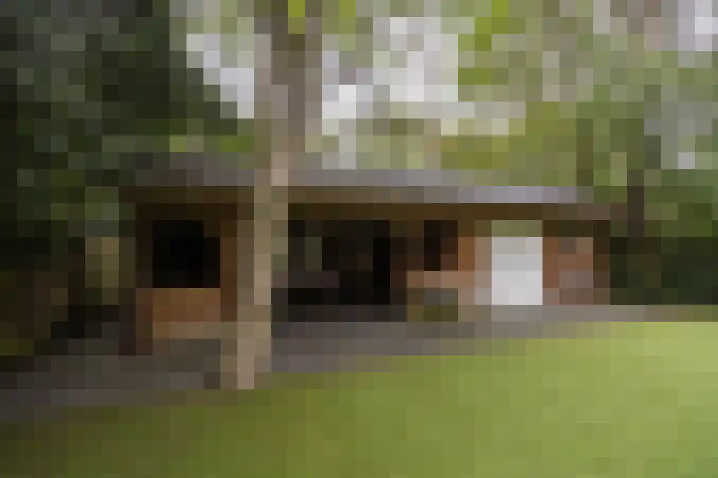 Julianalaan 103 Bilthoven thumbnail 51