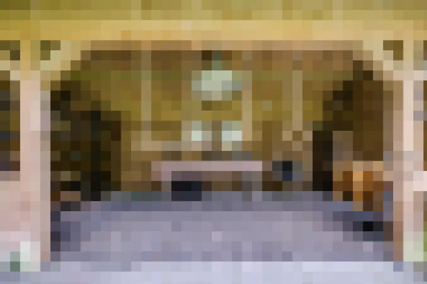 Julianalaan 103 Bilthoven thumbnail 52