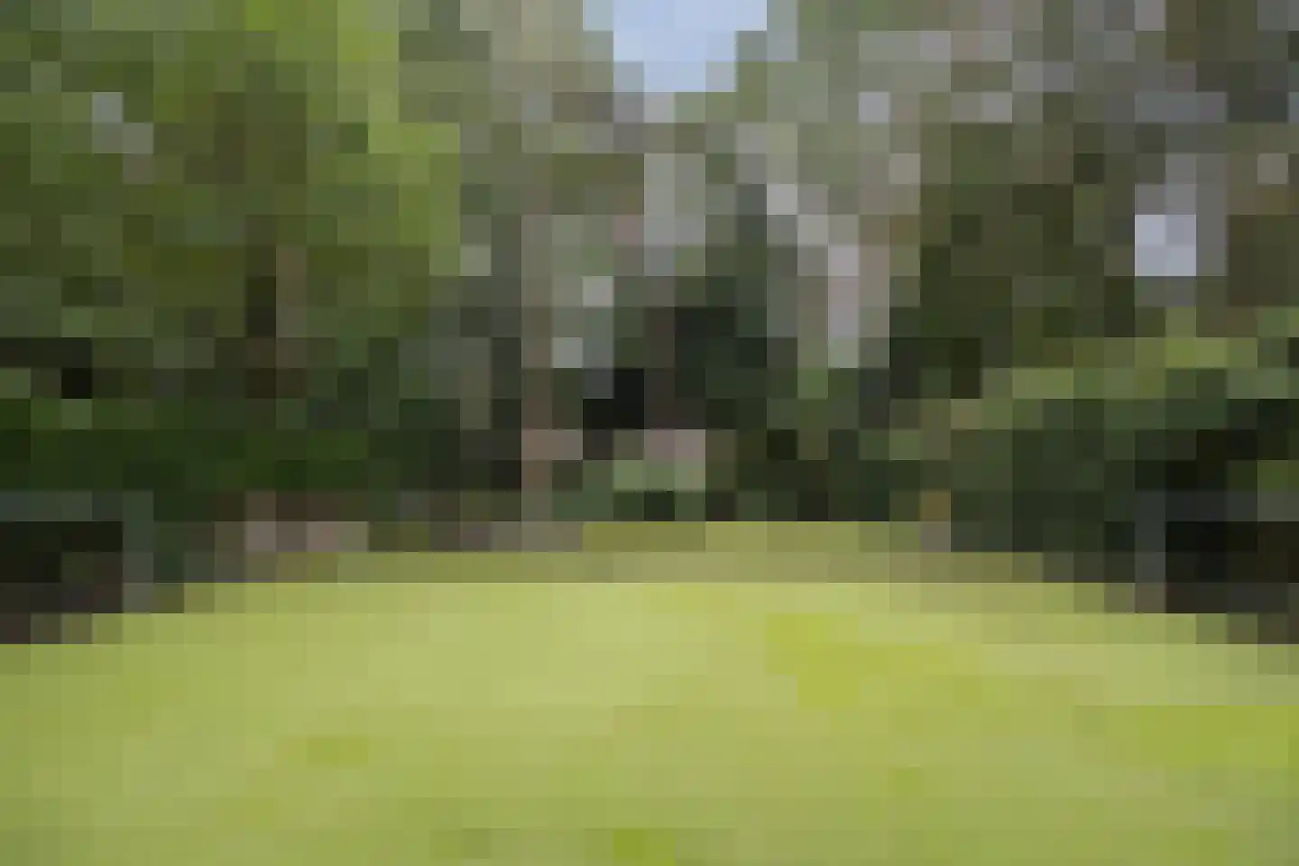 Julianalaan 103 Bilthoven thumbnail 53