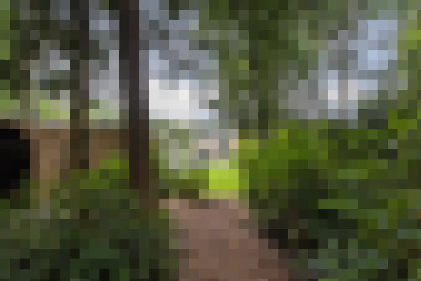 Julianalaan 103 Bilthoven thumbnail 54