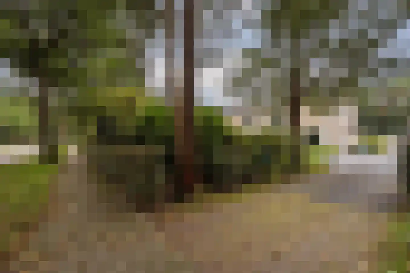 Julianalaan 103 Bilthoven thumbnail 56