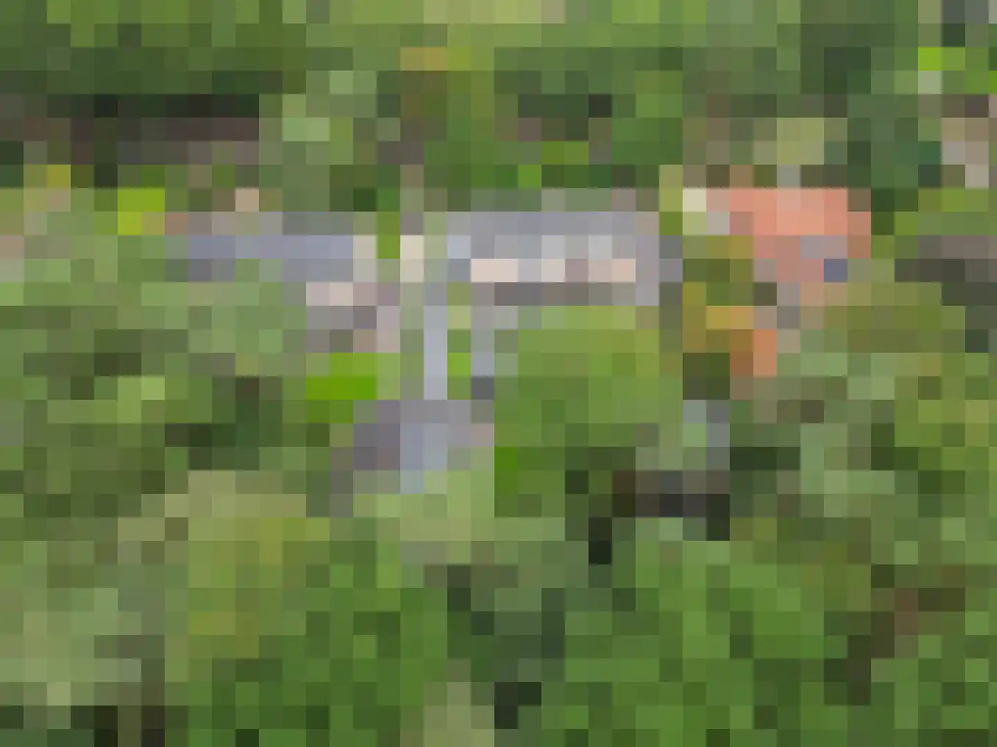 Julianalaan 103 Bilthoven thumbnail 57