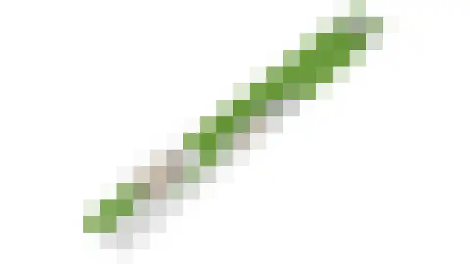 Julianalaan 103 Bilthoven thumbnail 61