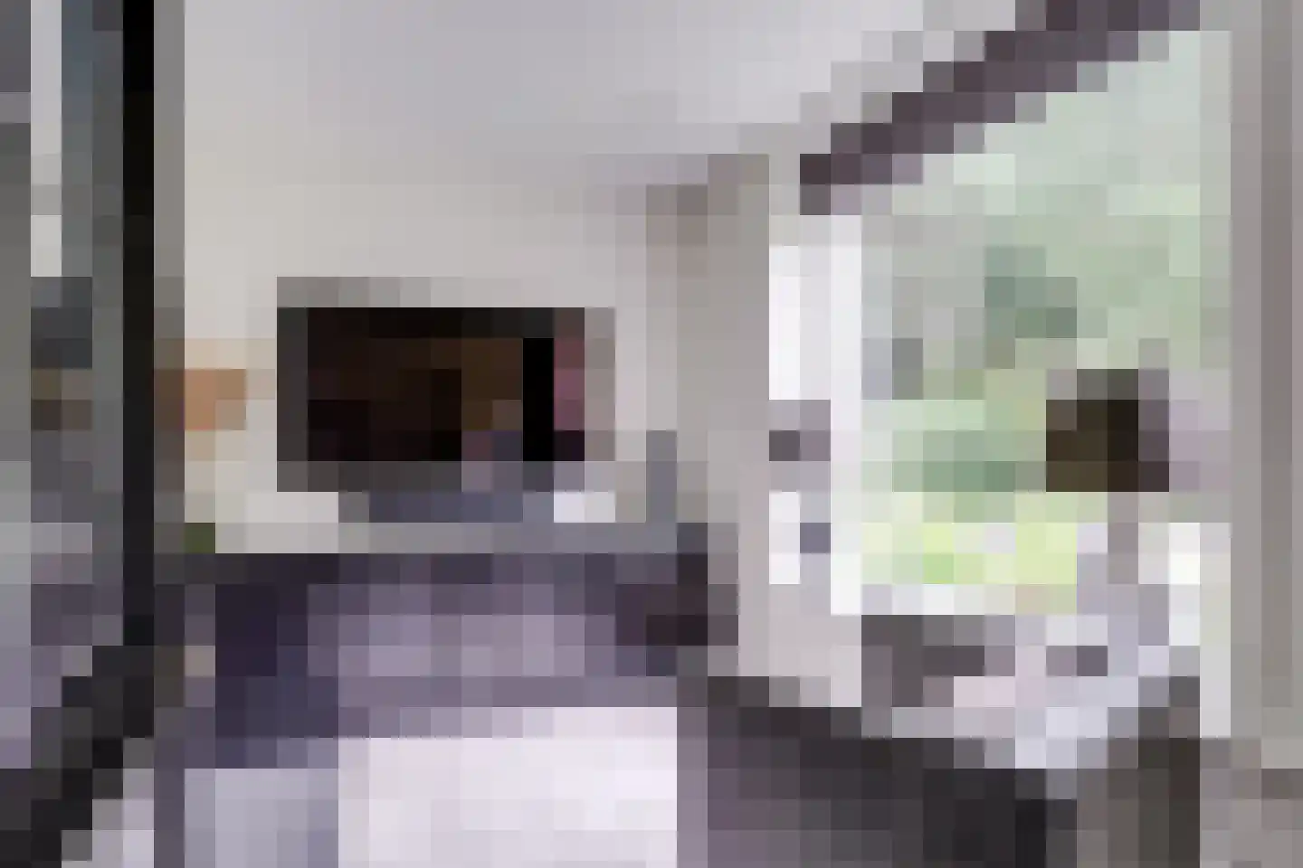 Julianalaan 103 Bilthoven thumbnail 8