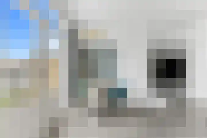 Julianalaan 106 B Schiedam thumbnail 21