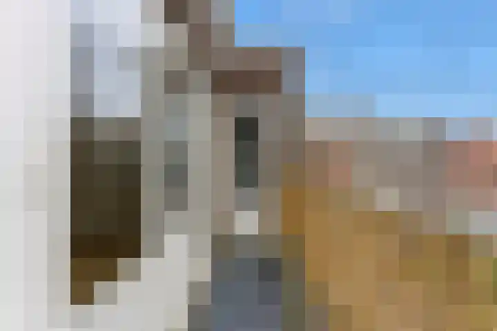 Julianalaan 106 B Schiedam thumbnail 44