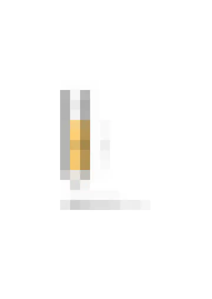 Julianalaan 106 B Schiedam thumbnail 64