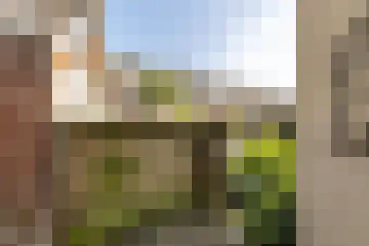 Julianalaan 110 A Schiedam thumbnail 24