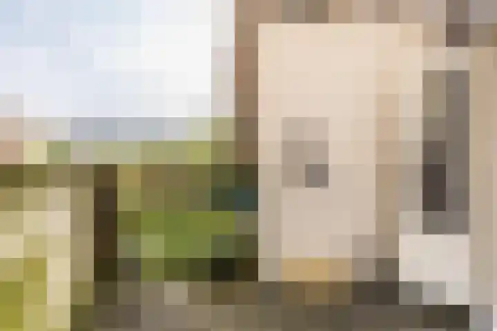 Julianalaan 110 A Schiedam thumbnail 5