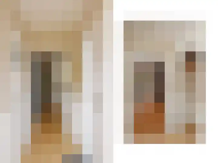 Julianalaan 110 Bergschenhoek thumbnail 11