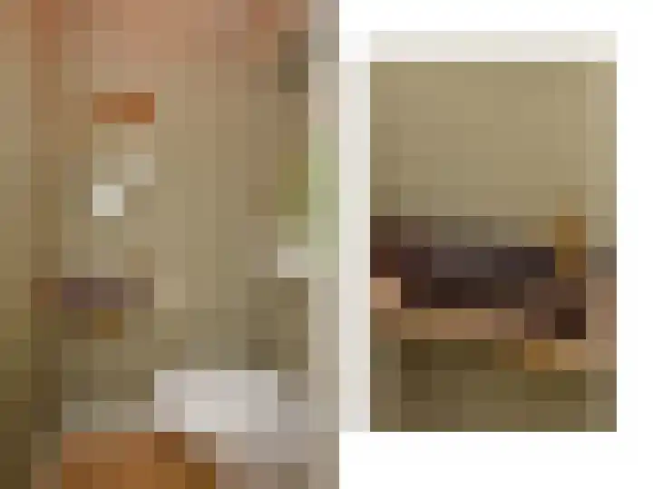 Julianalaan 110 Bergschenhoek thumbnail 12