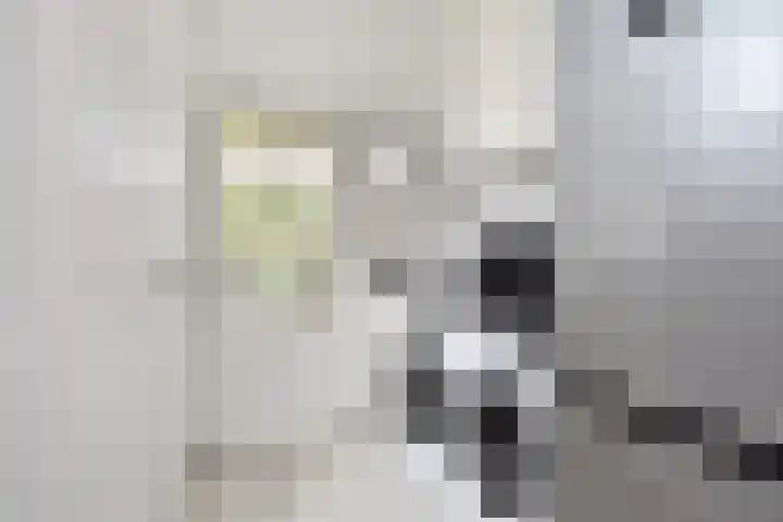Julianalaan 110 Bergschenhoek thumbnail 15