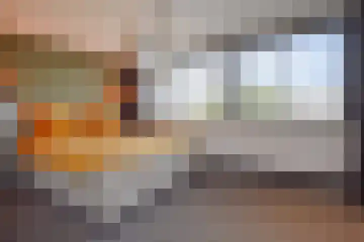 Julianalaan 110 Bergschenhoek thumbnail 19