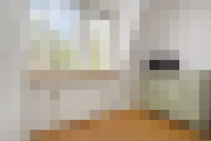 Julianalaan 110 Bergschenhoek thumbnail 21