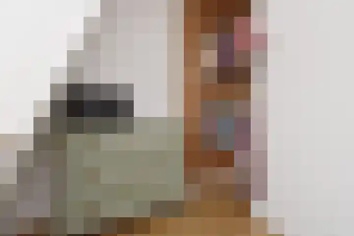 Julianalaan 110 Bergschenhoek thumbnail 22