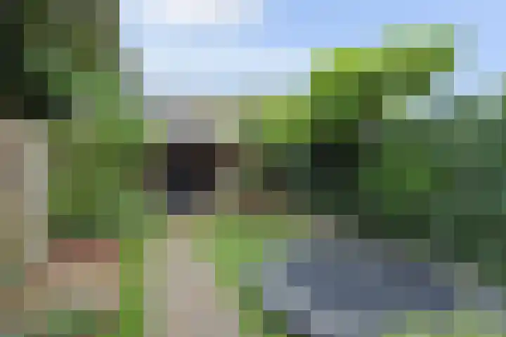 Julianalaan 110 Bergschenhoek thumbnail 27