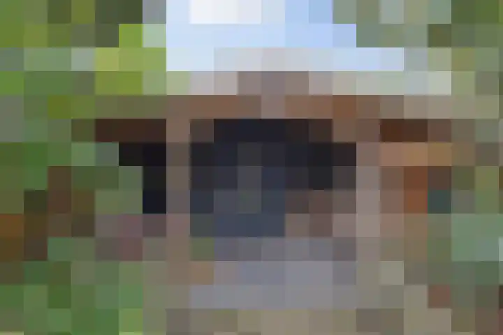Julianalaan 110 Bergschenhoek thumbnail 29