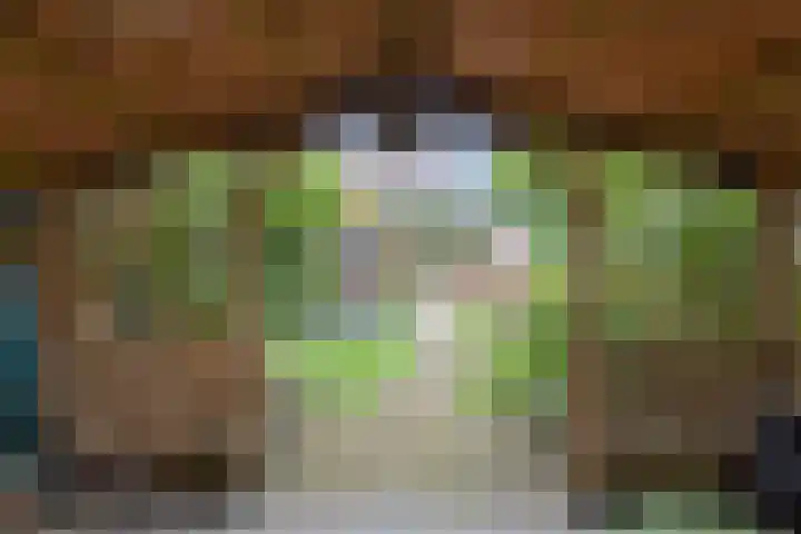 Julianalaan 110 Bergschenhoek thumbnail 30