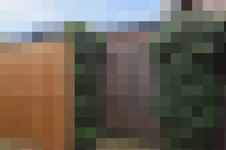 Julianalaan 110 Bergschenhoek thumbnail 33
