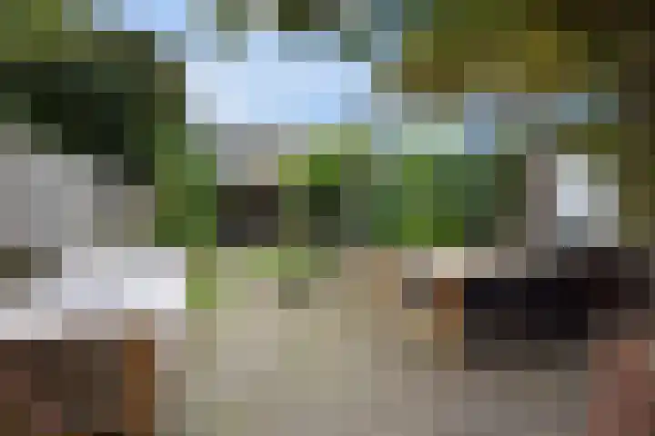 Julianalaan 110 Bergschenhoek thumbnail 4